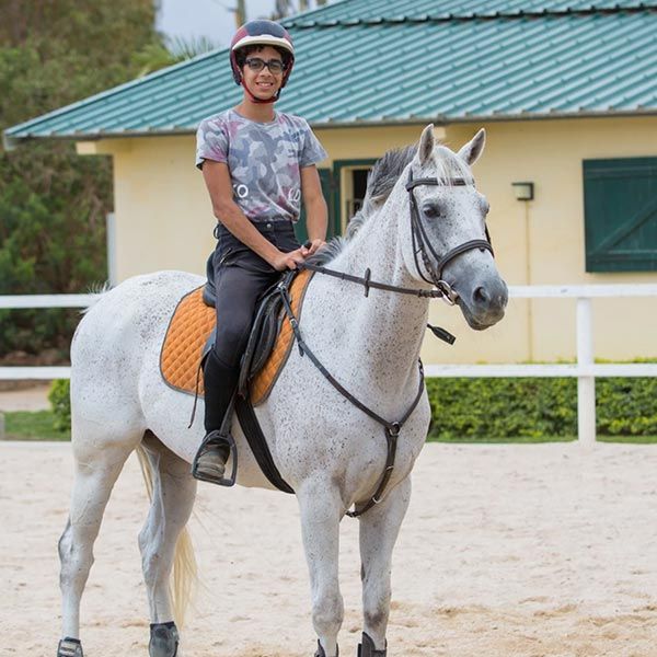 Riding Lessons - Cavalia - Horse Riding School