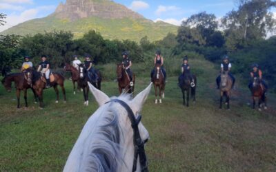 BIG TRAIL RIDE today 🤩🤩🤩 – 8 July 2023